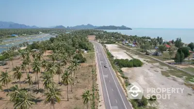 Scenic coastal road with palm trees and ocean view, perfect for real estate development.