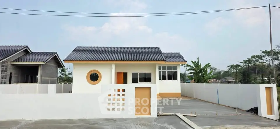 Charming single-story house with modern design and spacious driveway