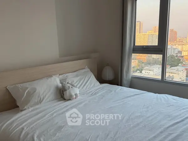 image_rental-30294110