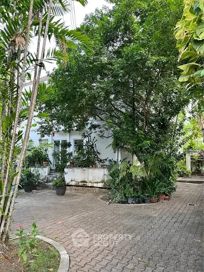 image_rental-31030177