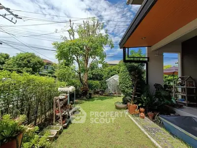Charming garden with lush greenery and cozy outdoor space, perfect for relaxation and gardening enthusiasts.