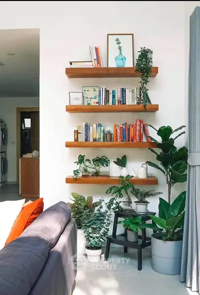 Stylish living room with floating shelves and lush indoor plants