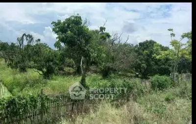 Expansive green land with lush trees, perfect for development or agriculture.