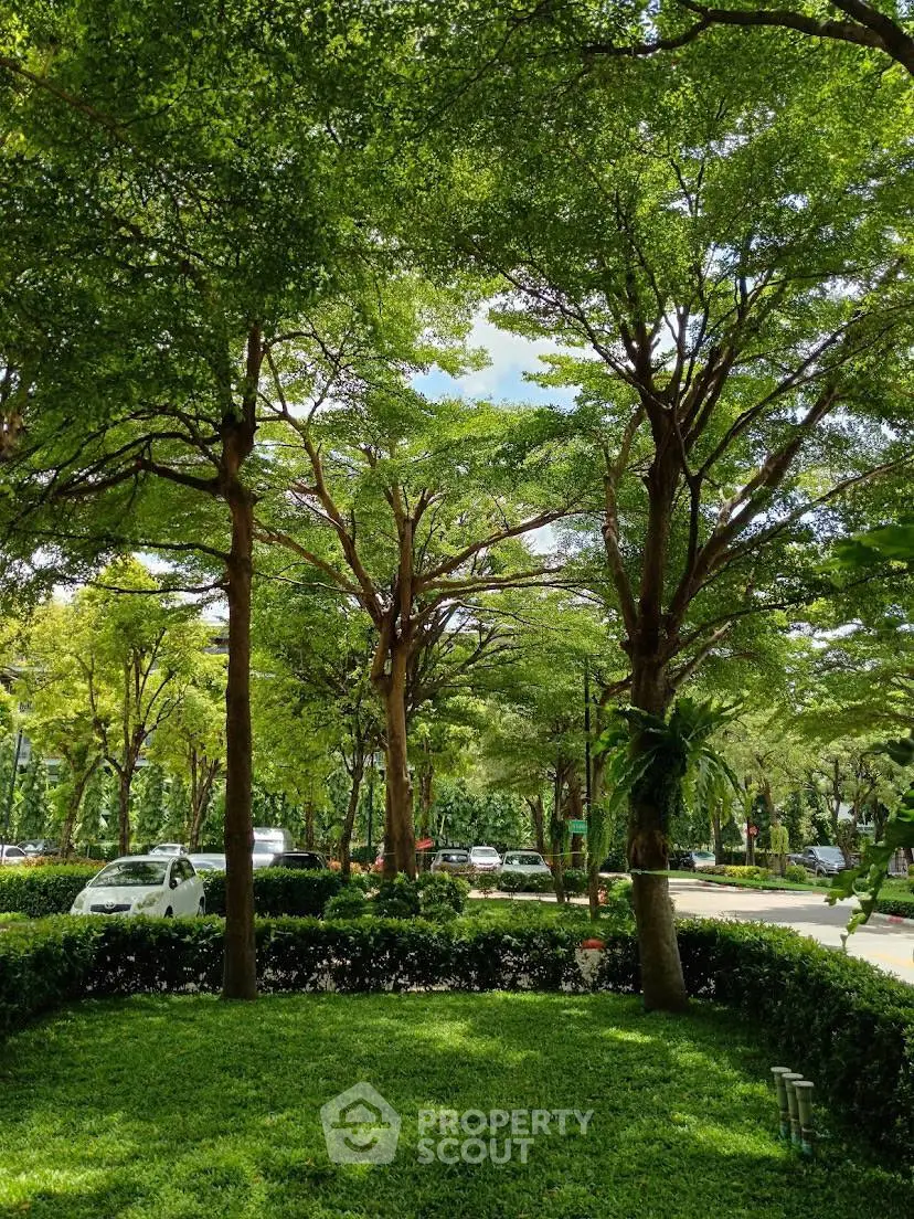 Lush green garden with tall trees and a serene street view, perfect for nature lovers.