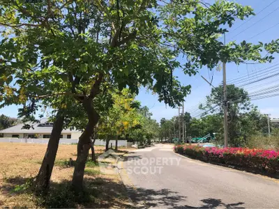 Scenic suburban road with lush greenery and clear blue sky, ideal for peaceful living.