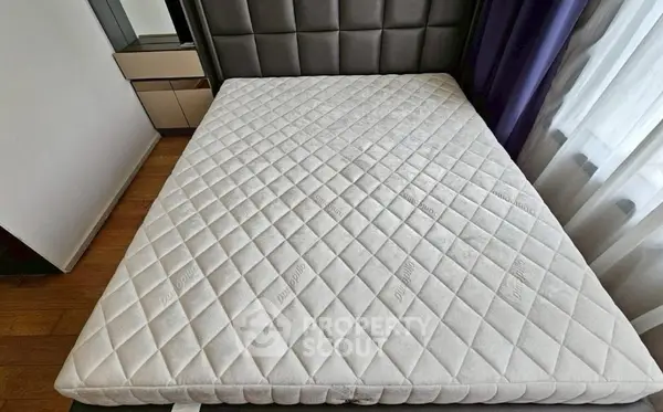 image_rental-30384175