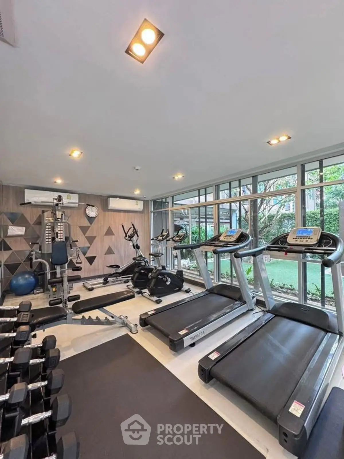 Modern gym with state-of-the-art equipment and garden view, perfect for fitness enthusiasts.