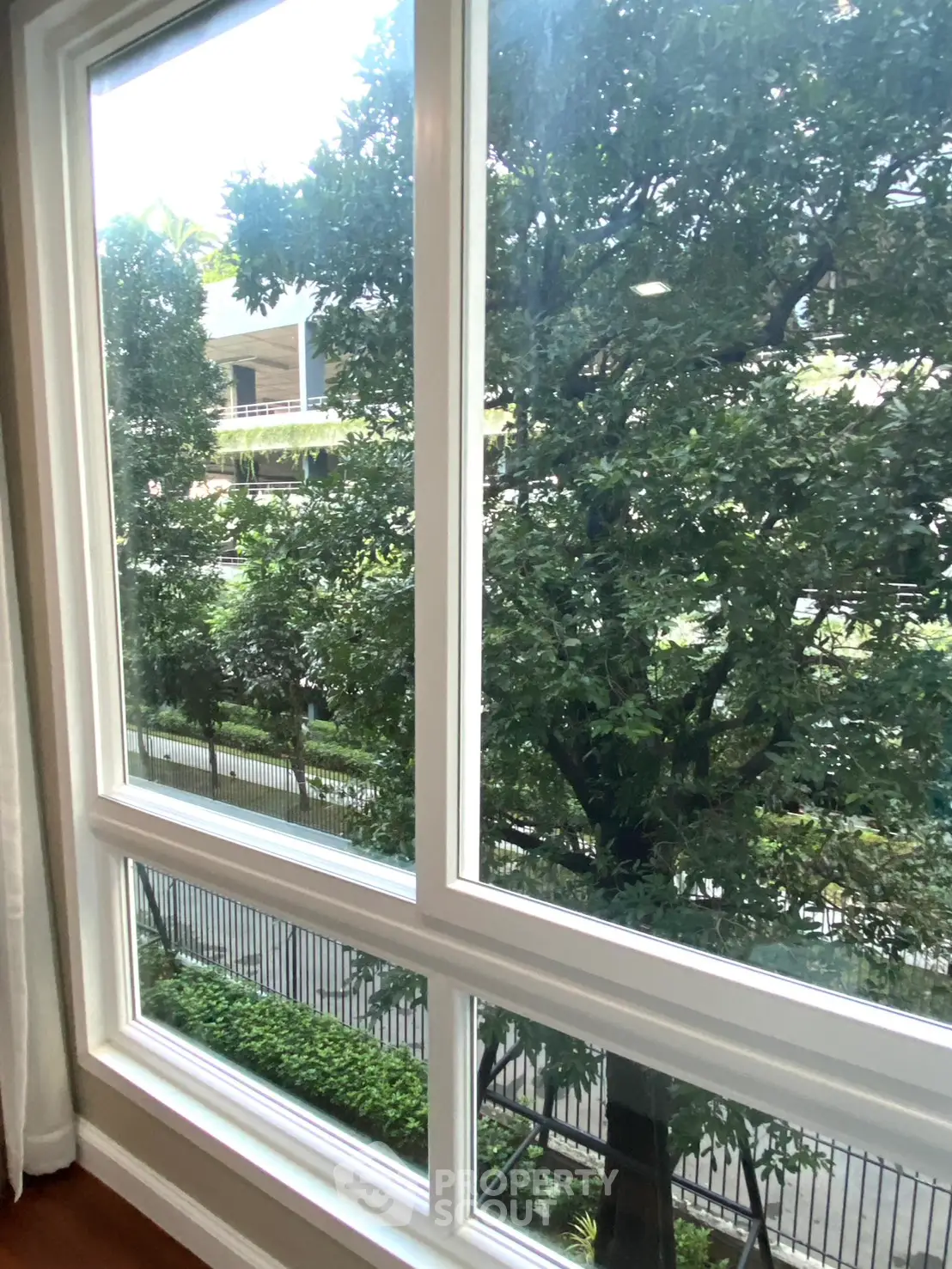 Bright window view showcasing lush greenery and street scene.