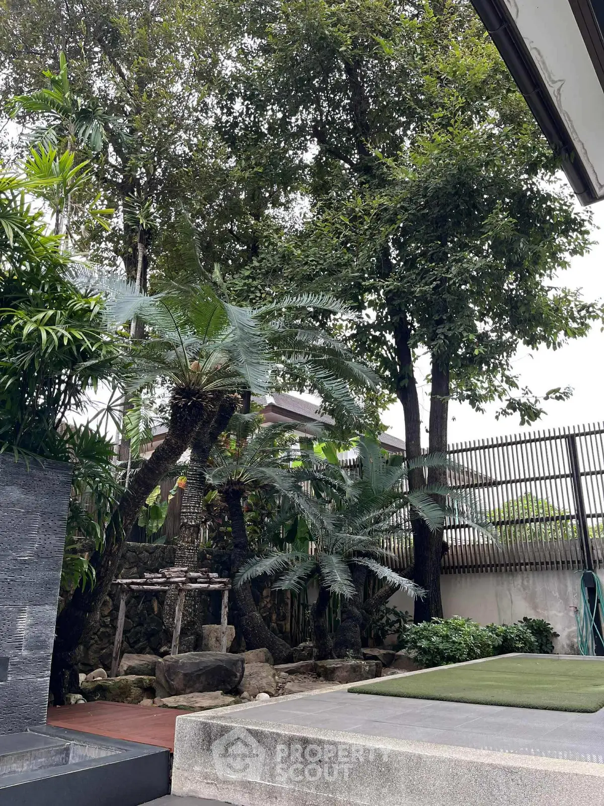 Lush garden with tall trees and stone pathway in serene residential setting.