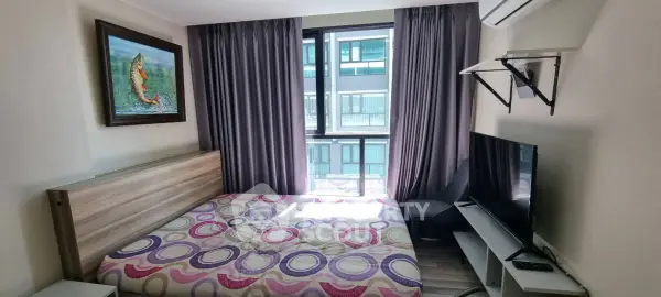 image_rental-29256590