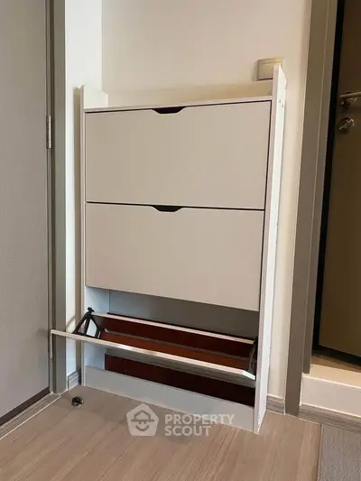 Compact shoe storage cabinet in modern apartment hallway