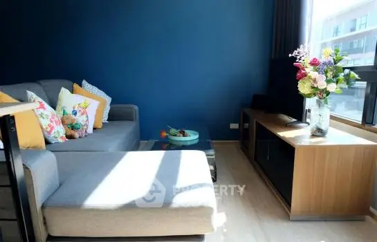 image_rental-21571233