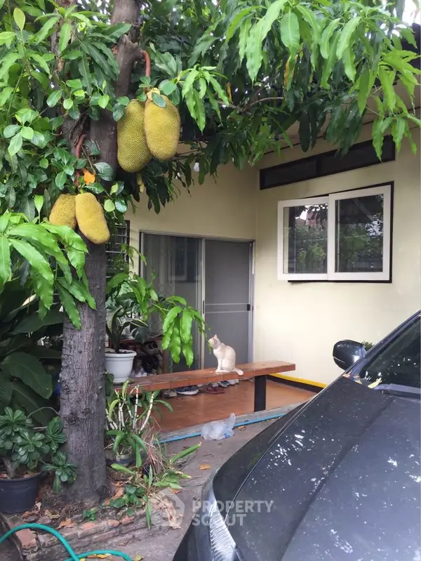 image_rental-8238100