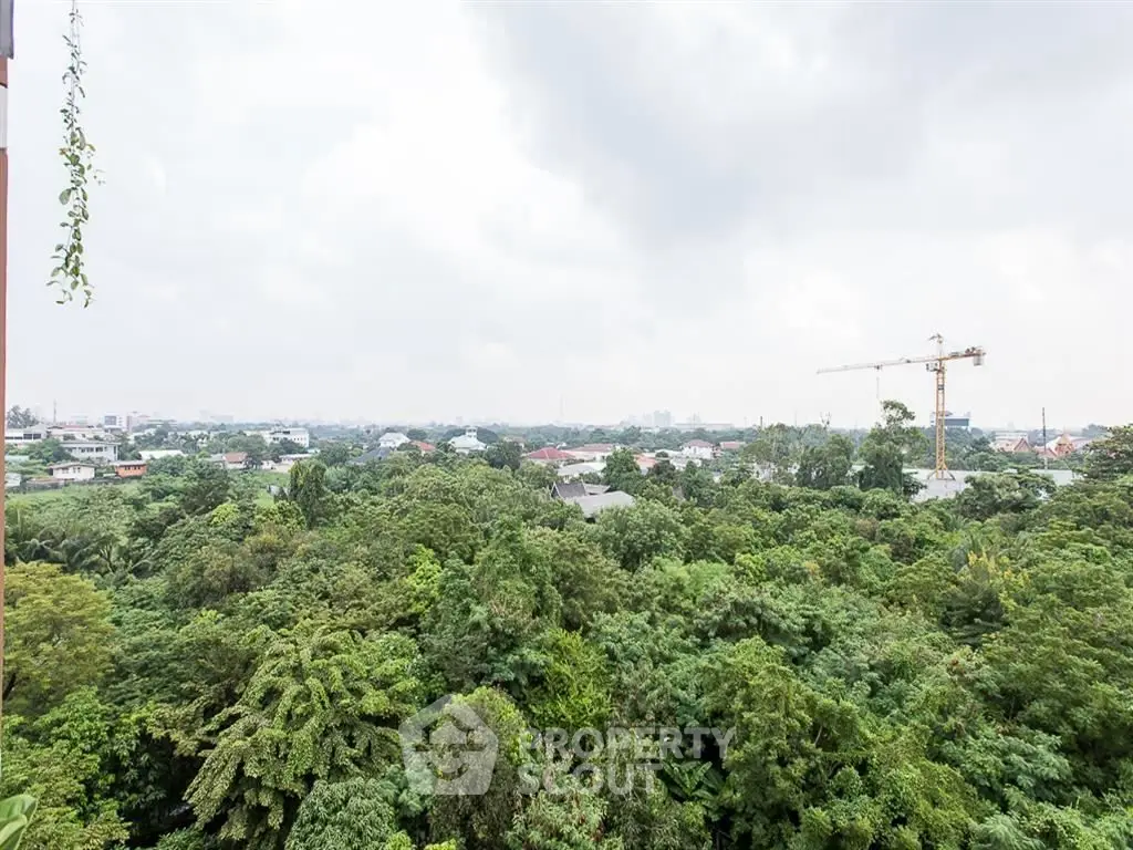 Expansive view of lush greenery and distant cityscape from a high vantage point, ideal for nature lovers.