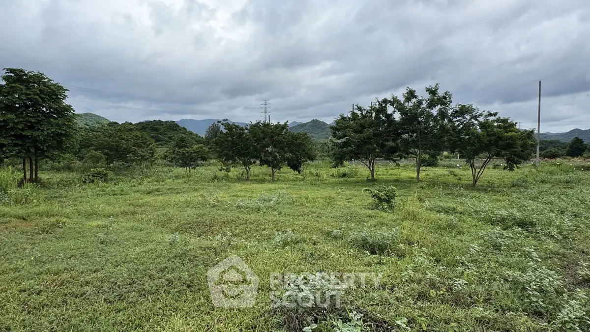Expansive green land with lush trees and scenic mountain views, perfect for development or investment.