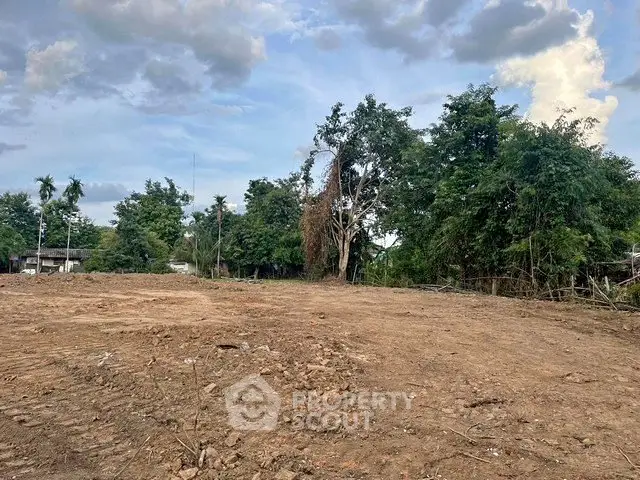 Expansive vacant land with lush greenery, perfect for development opportunities.