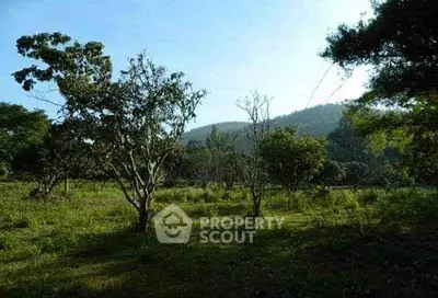 Scenic land plot with lush greenery and mountain views, ideal for development or investment.