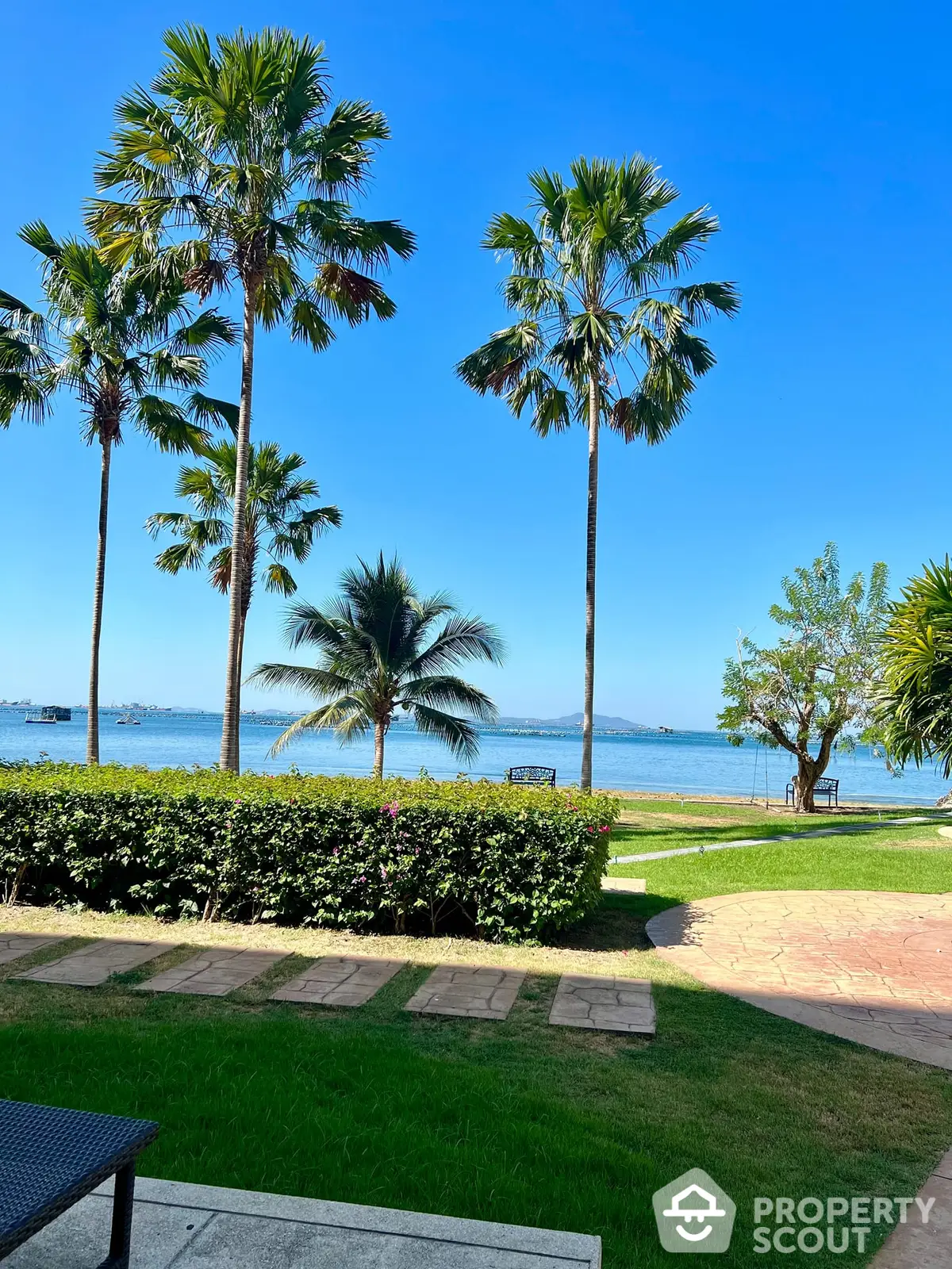 Breathtaking oceanfront view framed by towering palm trees and lush greenery, perfect for a serene and luxurious living experience.