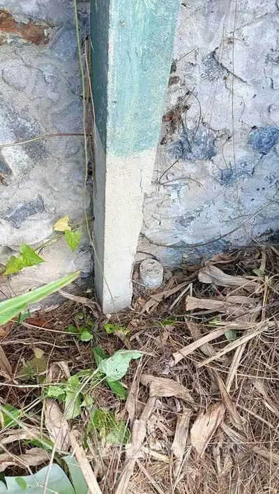 Exterior view of a rustic stone wall with greenery at the base, showcasing natural charm.
