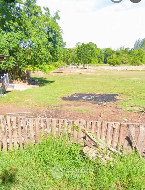 image_rental-27441897