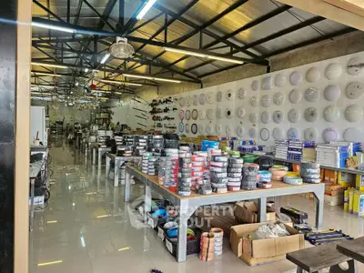 Spacious industrial warehouse with organized shelves and ample natural lighting.