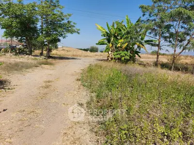 Expansive plot of land with lush greenery and clear blue sky, perfect for development opportunities.