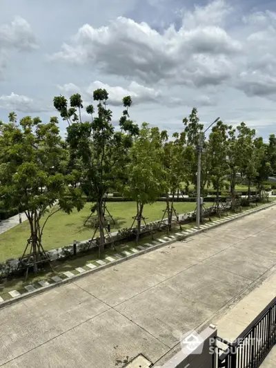 Serene residential street view with lush greenery and clear skies