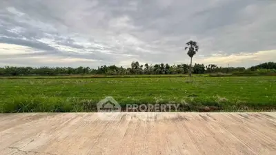 Expansive green field with a single palm tree under a cloudy sky, ideal for development.