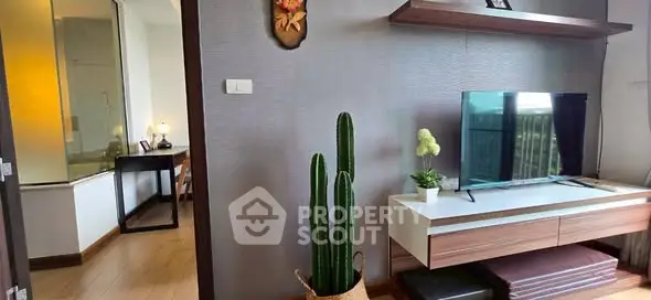 Modern living room with stylish TV stand and cactus decor