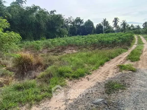 image_rental-27559535