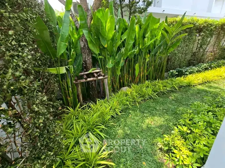 Lush green garden with tropical plants and manicured lawn in a serene residential setting.