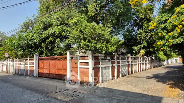 image_rental-31210544