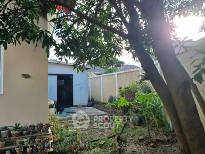 Charming garden area with lush greenery and potted plants, perfect for relaxation and outdoor enjoyment.