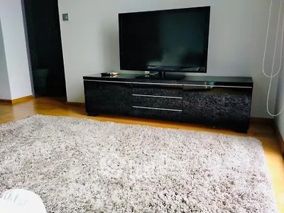 Modern living room with sleek TV stand and plush carpet