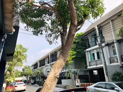 image_rental-31563906