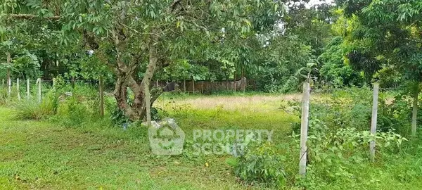 image_rental-27692821