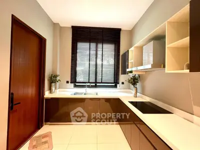 Modern kitchen with sleek cabinetry and large window, featuring an electric cooktop and stylish decor.