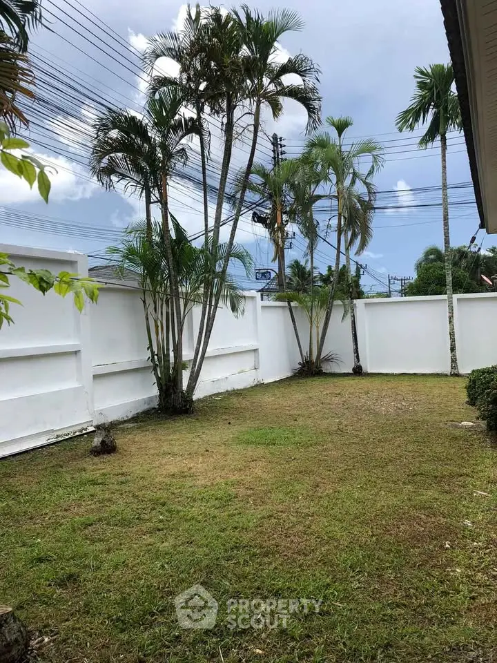 Spacious backyard with lush greenery and tall palm trees, perfect for outdoor relaxation.