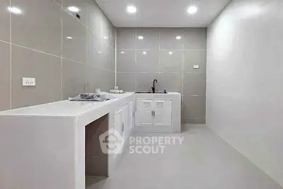 Modern minimalist kitchen with sleek cabinetry and ample counter space.
