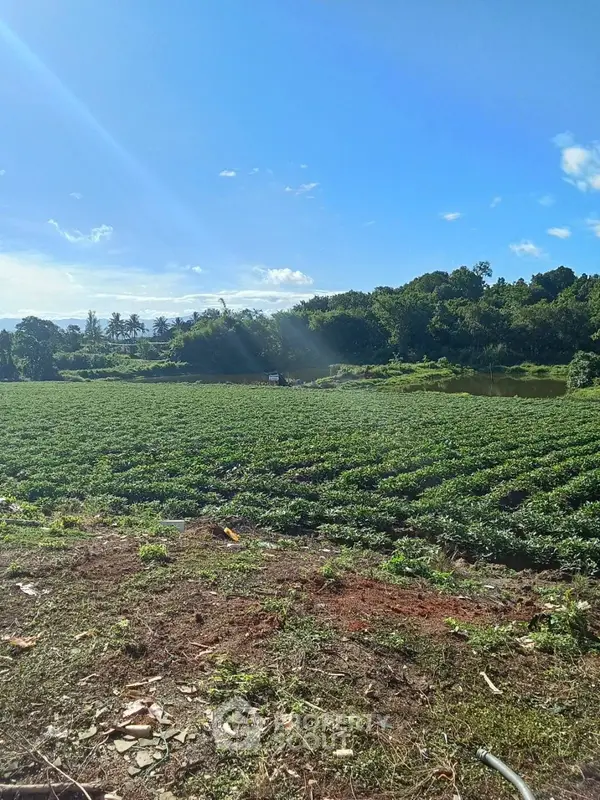 image_rental-25389018