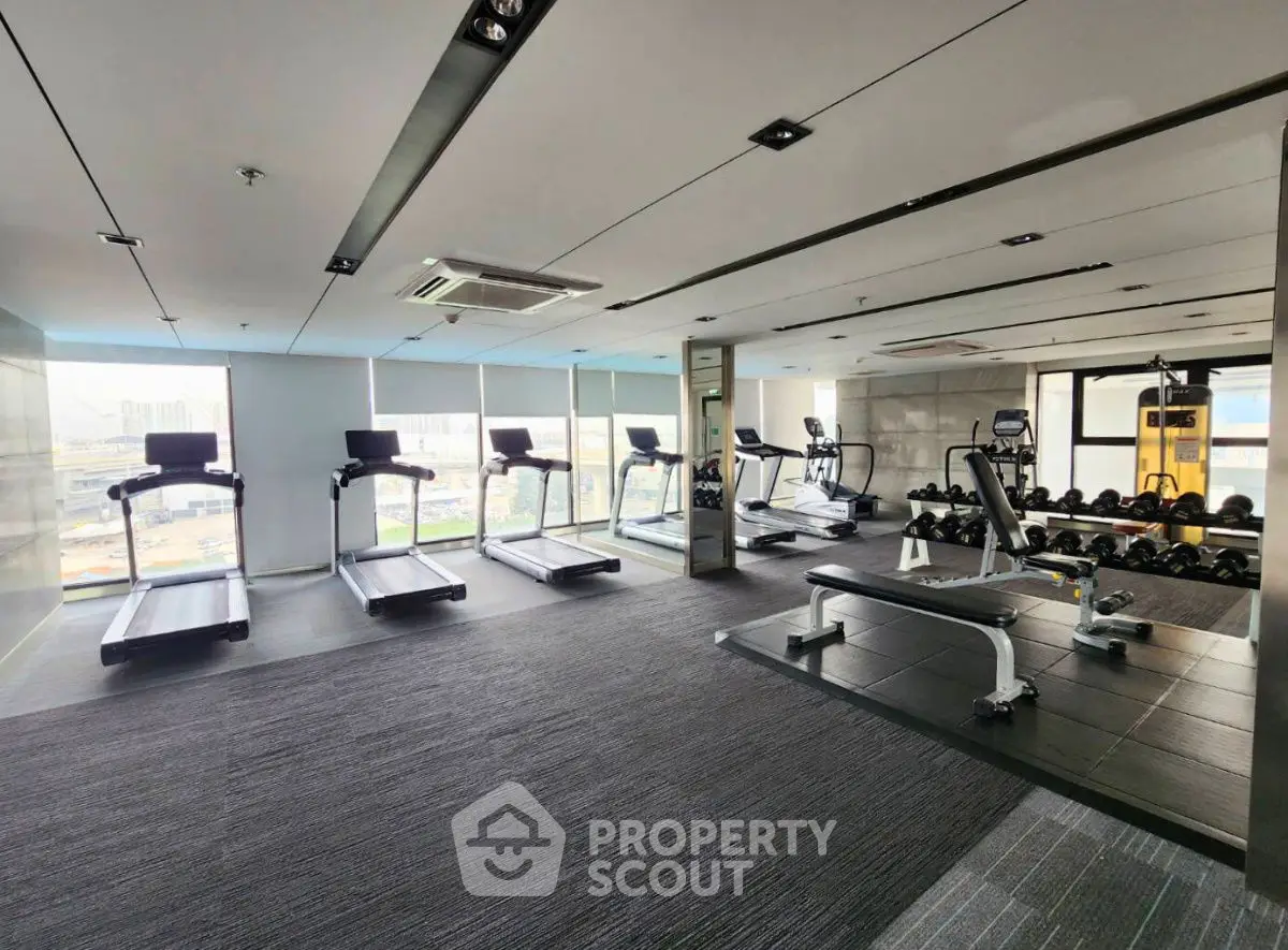 Modern gym with city view, featuring treadmills and weights, ideal for fitness enthusiasts.