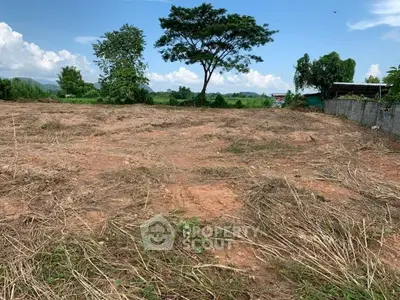 Expansive vacant land with lush greenery, perfect for development opportunities.