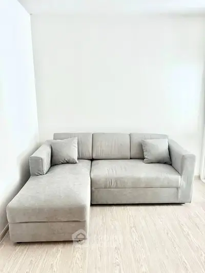 Modern minimalist living room with stylish gray sectional sofa on light wood flooring.