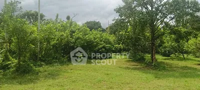 Lush green garden space perfect for landscaping or outdoor activities, offering serene natural surroundings.