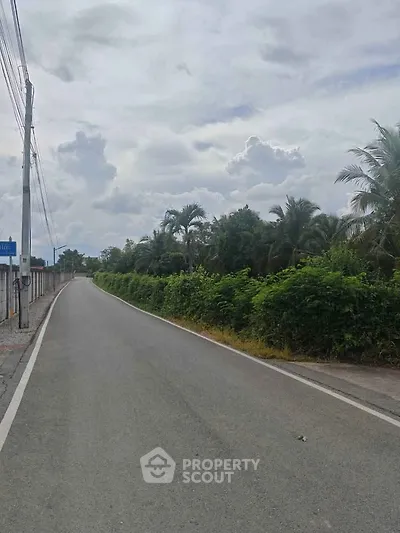Scenic road view with lush greenery and palm trees, ideal for tranquil real estate development.