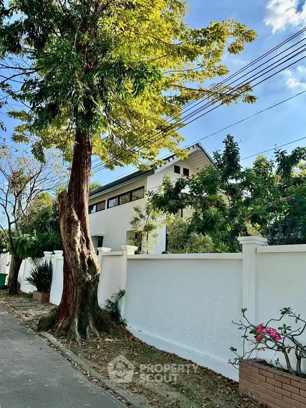 image_rental-28657595