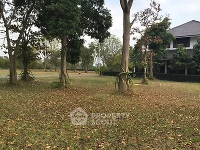 Spacious garden with mature trees and a view of a charming house