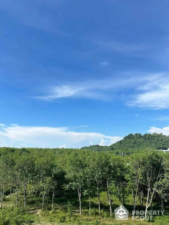 Scenic view of lush green landscape with clear blue sky and distant hills.