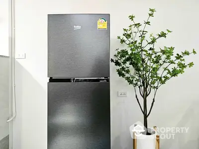 Modern kitchen featuring a sleek, graphite grey refrigerator next to a vibrant potted plant, blending functionality with a touch of nature.