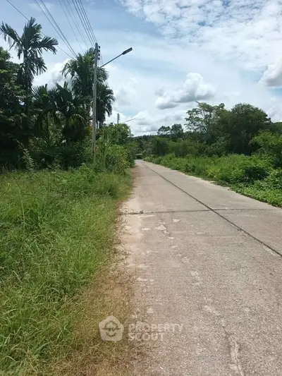 Scenic rural road surrounded by lush greenery and palm trees under a bright blue sky.